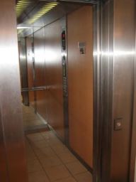Hall vue3